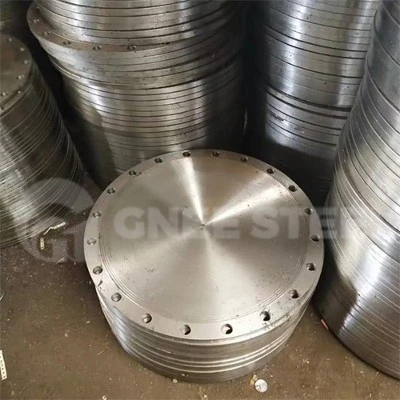 flange blind flange blind